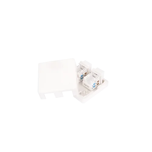 Настенная розетка NETLAN, 2 порта, Кат.5e (Класс D), 100МГц, RJ45/8P8C, 110, T568A/B, неэкранированная, белая, уп-ка 10шт.