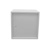 Шкаф телекоммуникационный антивандальный SNR-TAC6012 (600х600х600)